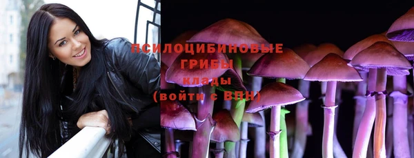 хмурый Верхний Тагил