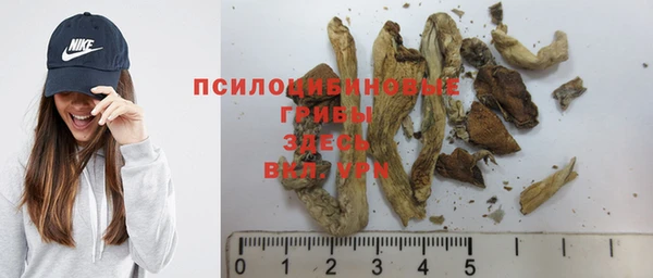 индика Верхнеуральск