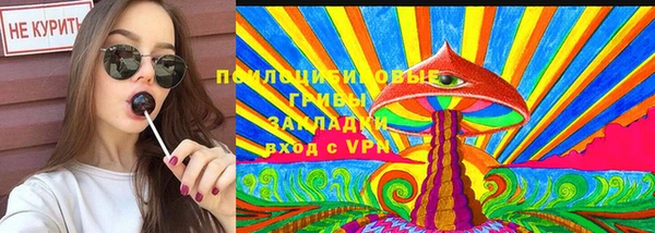 индика Верхнеуральск