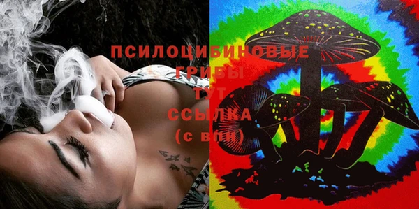 хмурый Верхний Тагил