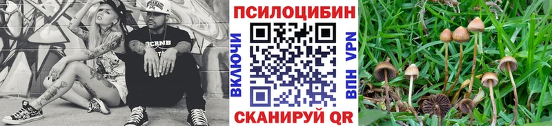 Галлюциногенные грибы Cubensis  Купить где  Навашино 