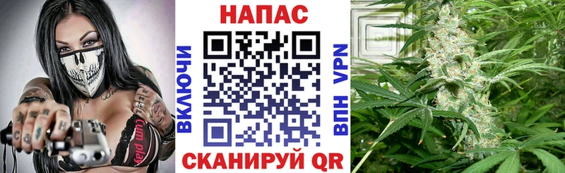 Марихуана планчик  Купить закладки  Навашино 